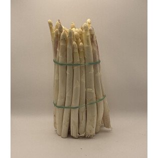 Asperges blanches bottes 500 g