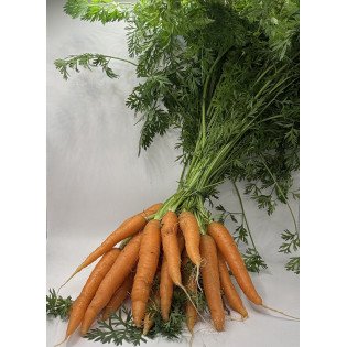 Bottes de carottes 500g